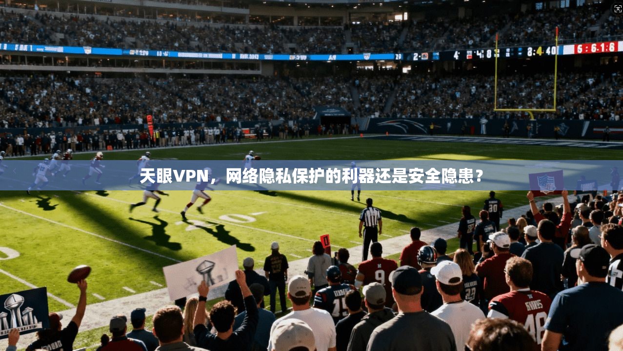 天眼VPN，网络隐私保护的利器还是安全隐患？  第1张