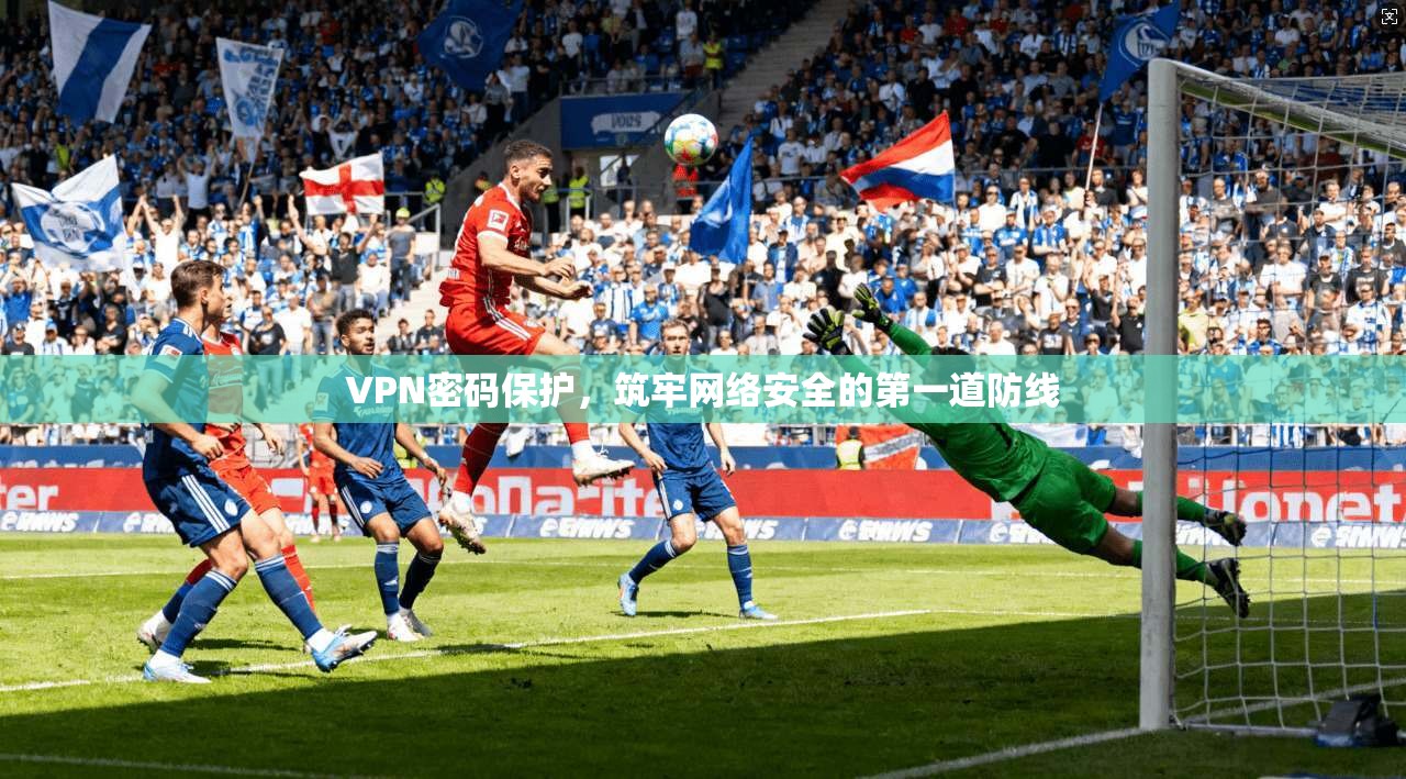 VPN密码保护，筑牢网络安全的第一道防线  第1张