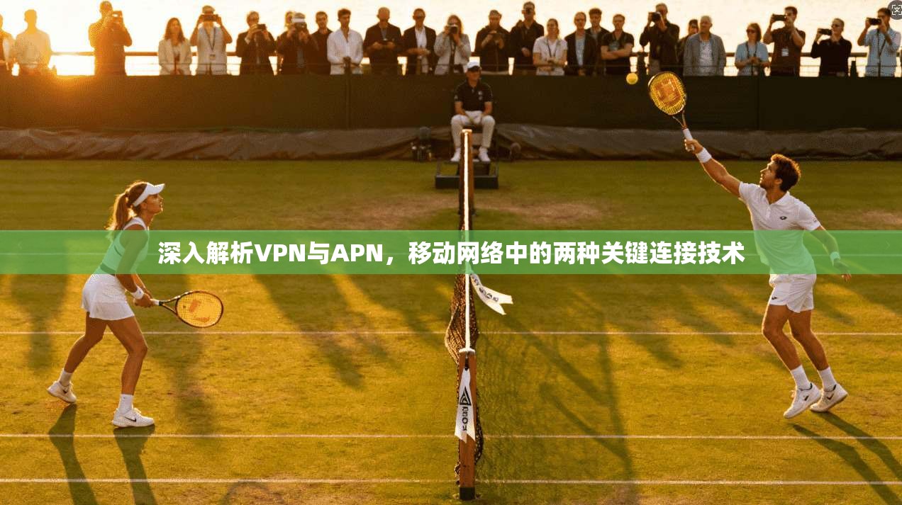 深入解析VPN与APN,移动网络中的两种关键连接技术 第1张 深入解析VPN与APN,移动网络中的两种关键连接技术 第1张