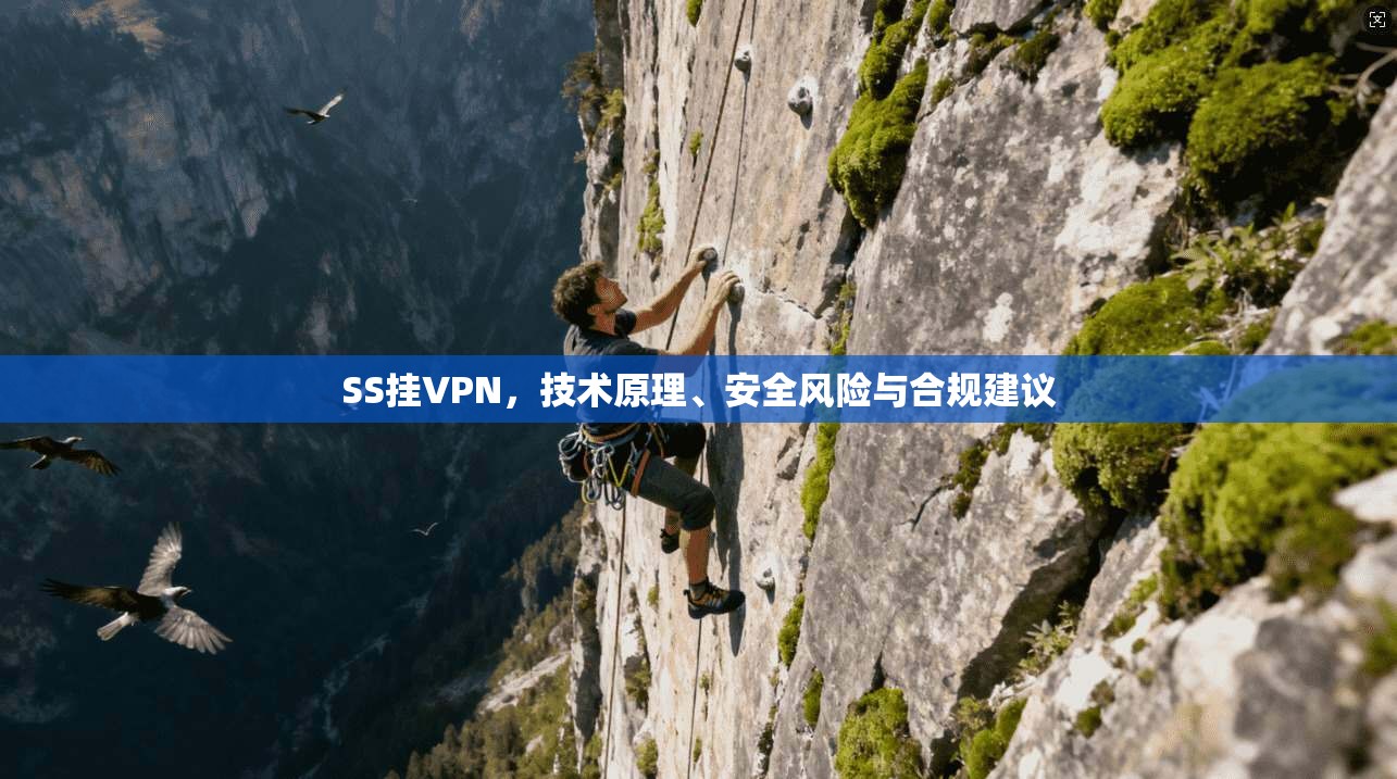 SS挂VPN，技术原理、安全风险与合规建议  第1张