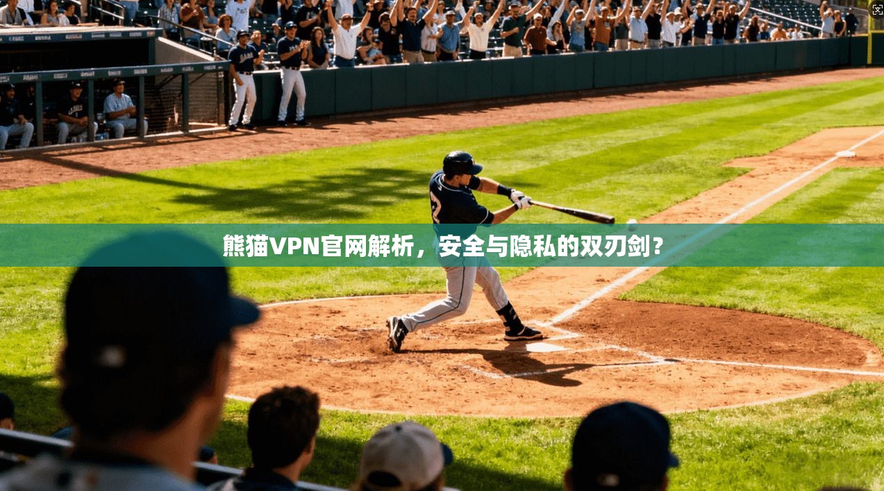 熊猫VPN官网解析，安全与隐私的双刃剑？  第1张