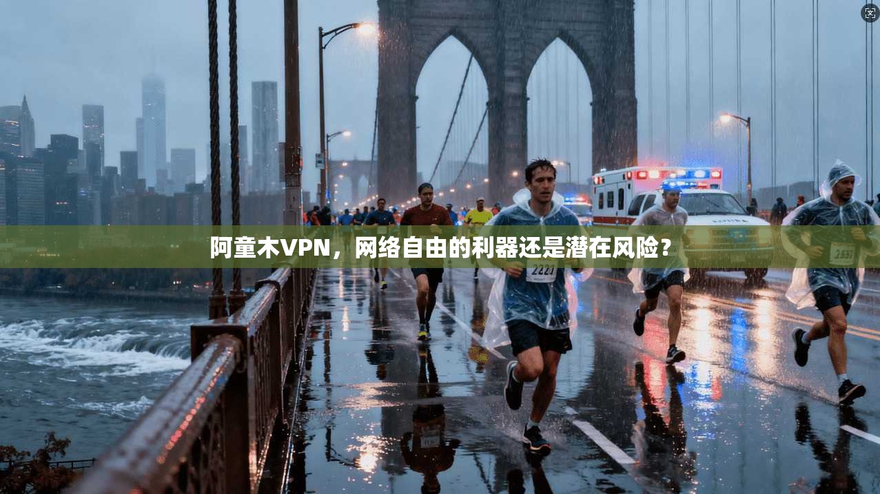 阿童木VPN，网络自由的利器还是潜在风险？  第1张