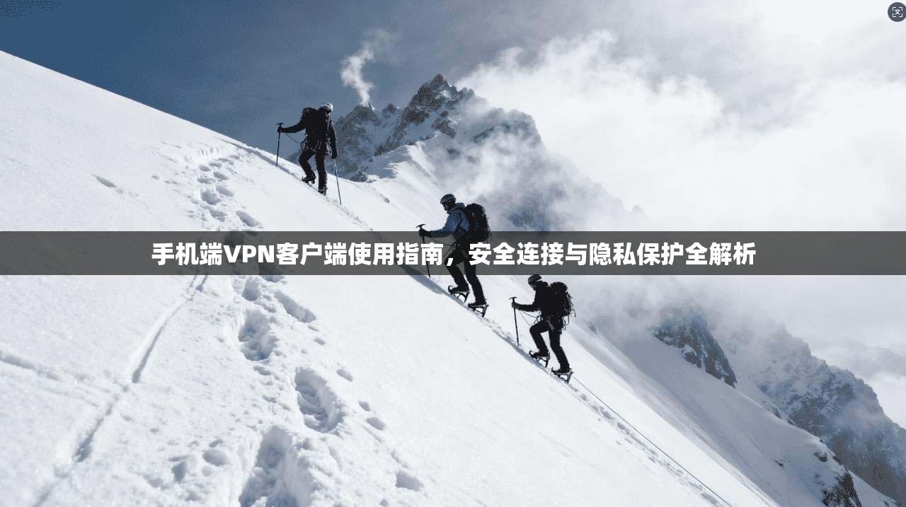 手机端VPN客户端使用指南,安全连接与隐私保护全解析 第1张 手机端VPN客户端使用指南,安全连接与隐私保护全解析 第1张