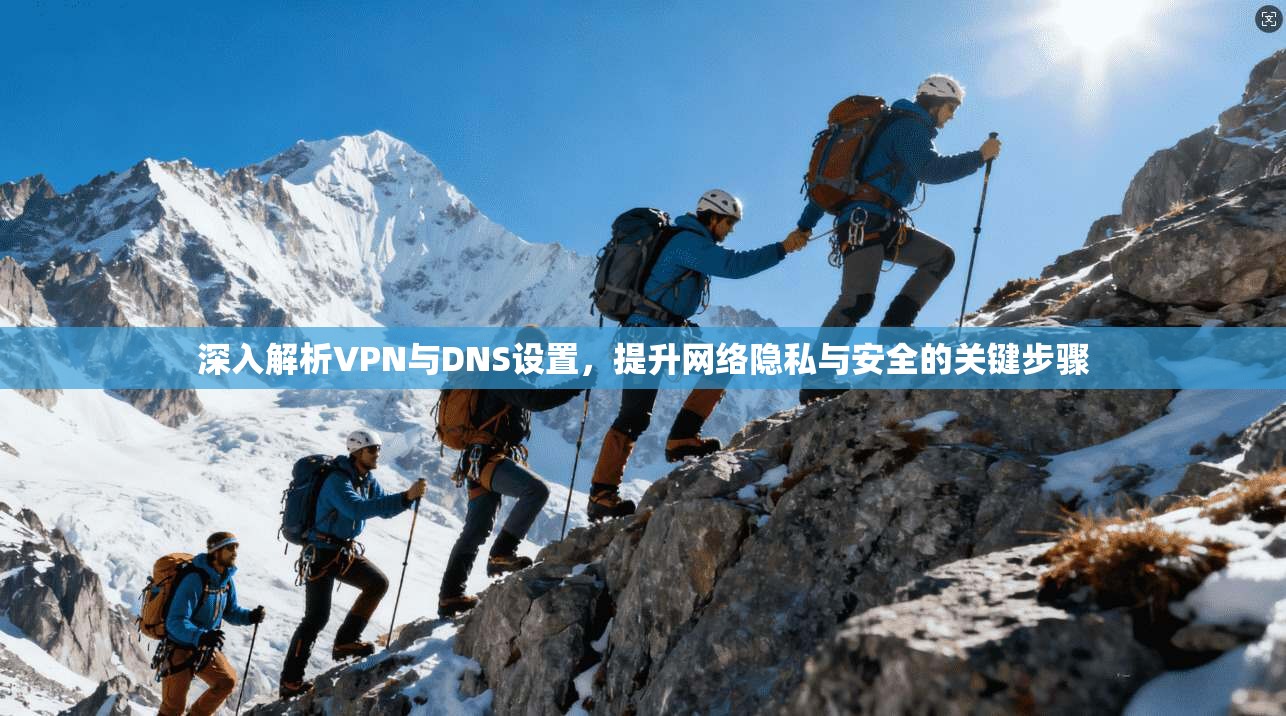 深入解析VPN与DNS设置，提升网络隐私与安全的关键步骤  第1张