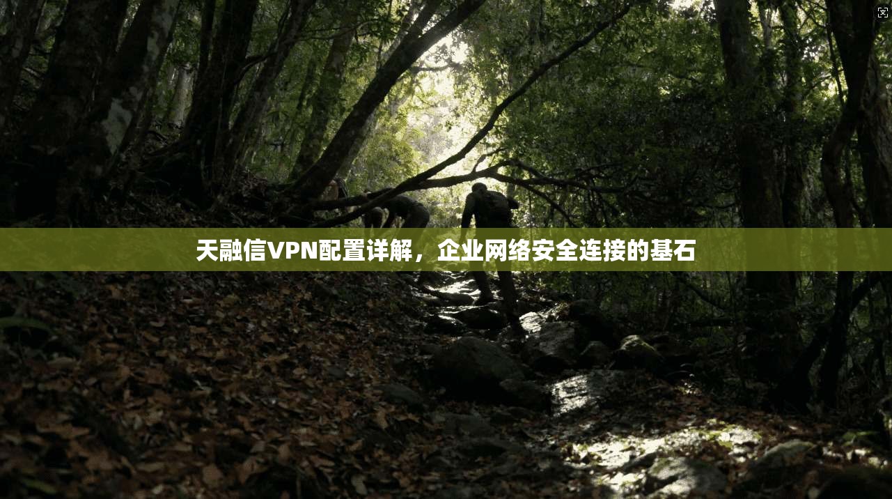 天融信VPN配置详解，企业网络安全连接的基石  第1张
