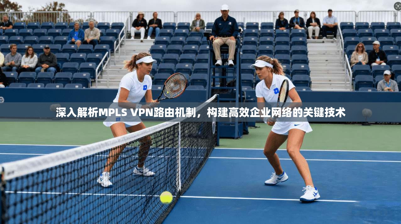 深入解析MPLS VPN路由机制，构建高效企业网络的关键技术  第1张