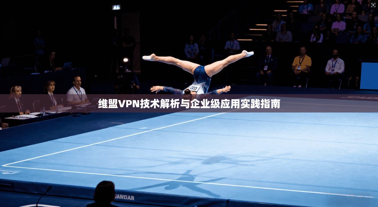 维盟VPN技术解析与企业级应用实践指南  第1张