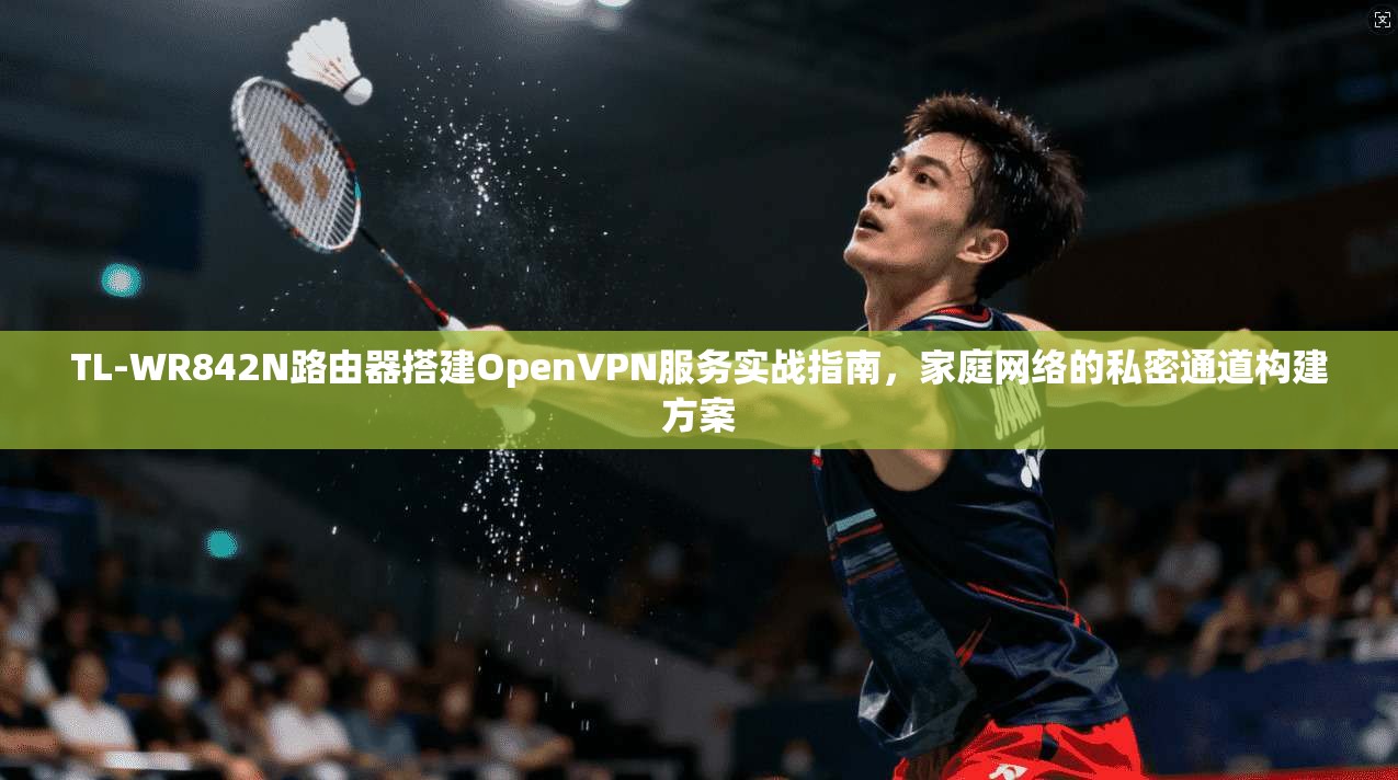 TL-WR842N路由器搭建OpenVPN服务实战指南,家庭网络的私密通道构建方案 第1张 TL-WR842N路由器搭建OpenVPN服务实战指南,家庭网络的私密通道构建方案 第1张