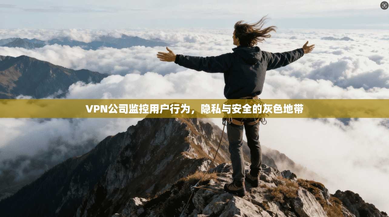 VPN公司监控用户行为,隐私与安全的灰色地带 第1张 VPN公司监控用户行为,隐私与安全的灰色地带 第1张