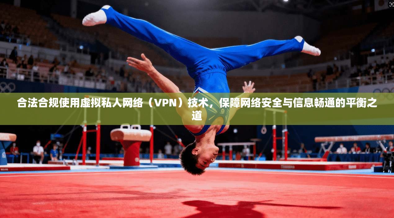 合法合规使用虚拟私人网络(VPN)技术,保障网络安全与信息畅通的平衡之道 第1张 合法合规使用虚拟私人网络(VPN)技术,保障网络安全与信息畅通的平衡之道 第1张