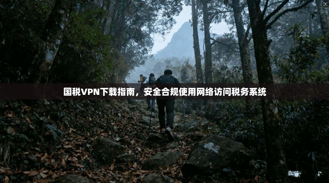 国税VPN下载指南,安全合规使用网络访问税务系统 第1张 国税VPN下载指南,安全合规使用网络访问税务系统 第1张