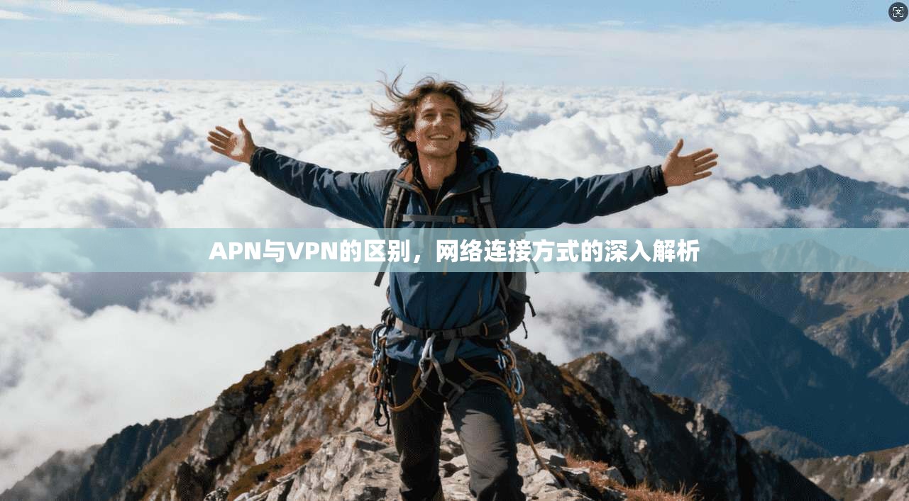 APN与VPN的区别，网络连接方式的深入解析  第1张