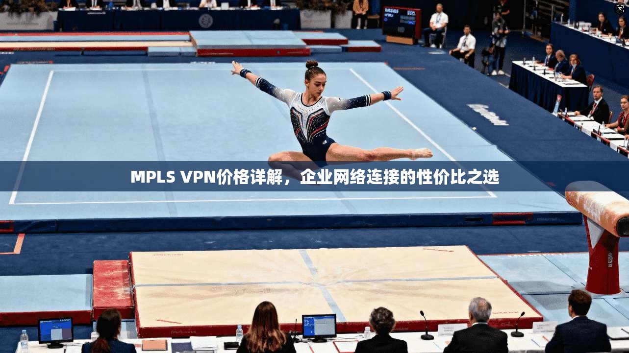 MPLS VPN价格详解，企业网络连接的性价比之选  第1张