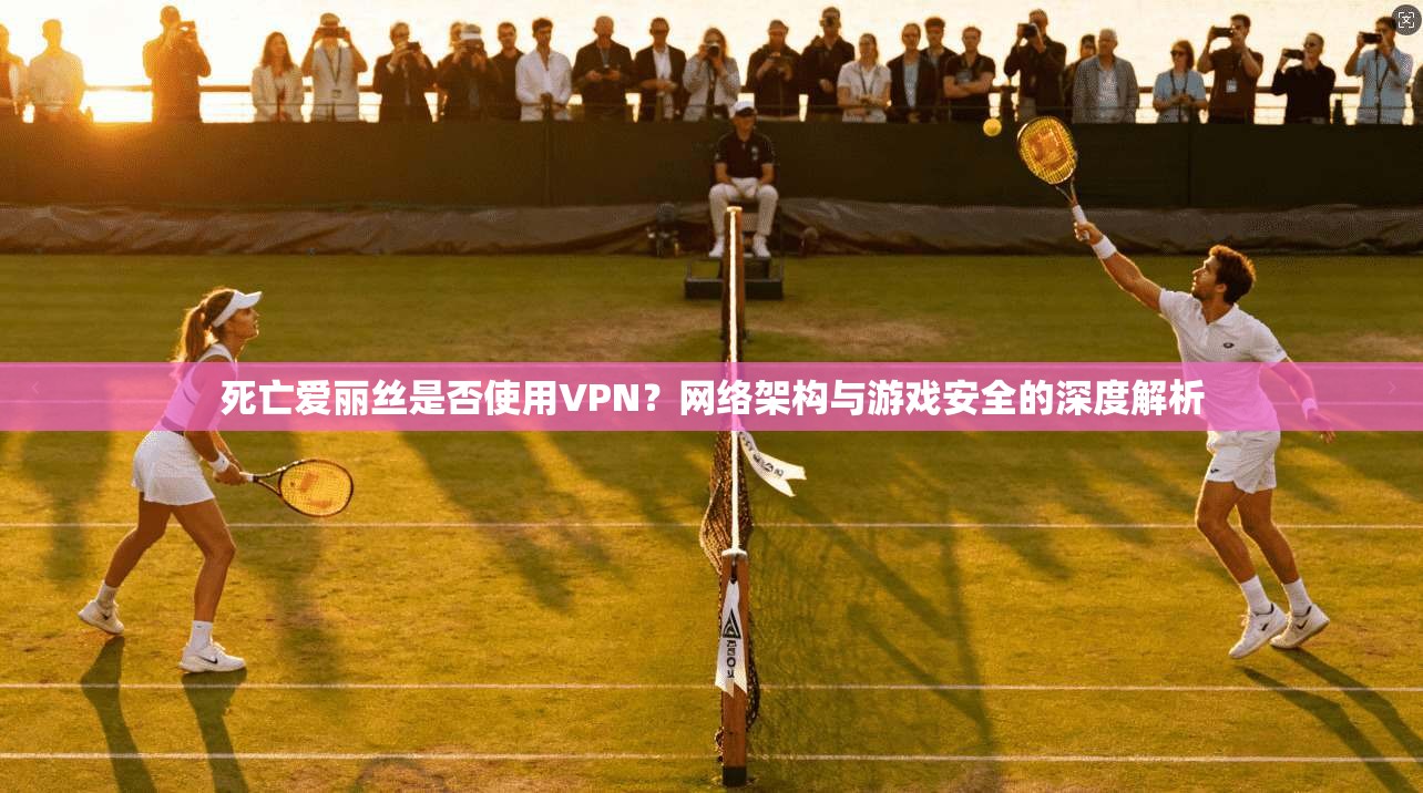 死亡爱丽丝是否使用VPN？网络架构与游戏安全的深度解析  第1张