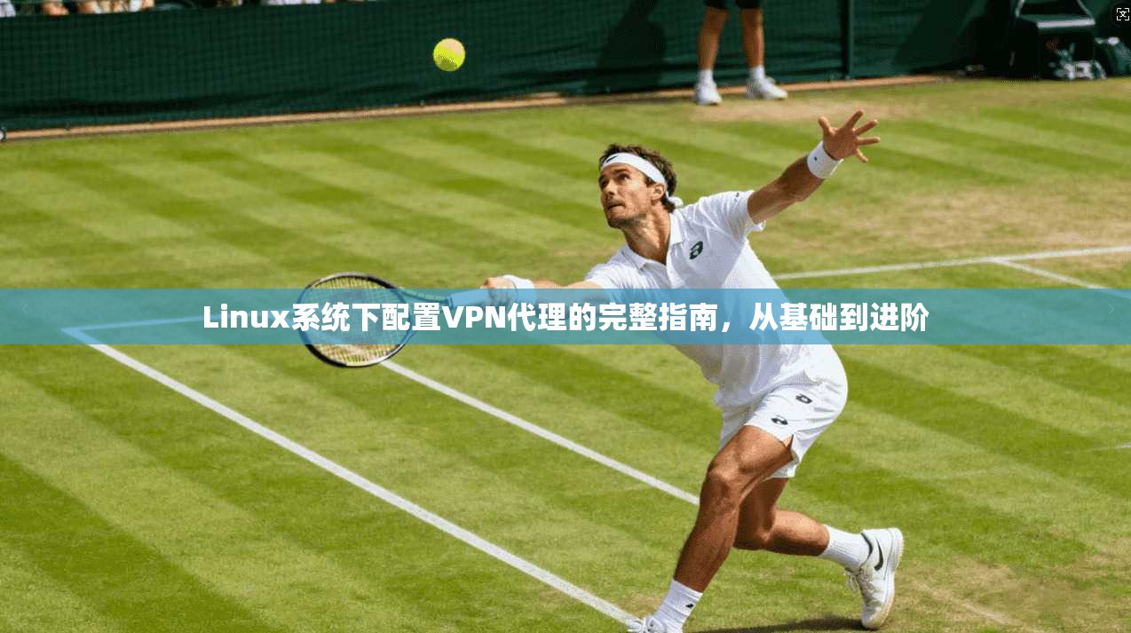Linux系统下配置VPN代理的完整指南，从基础到进阶  第1张
