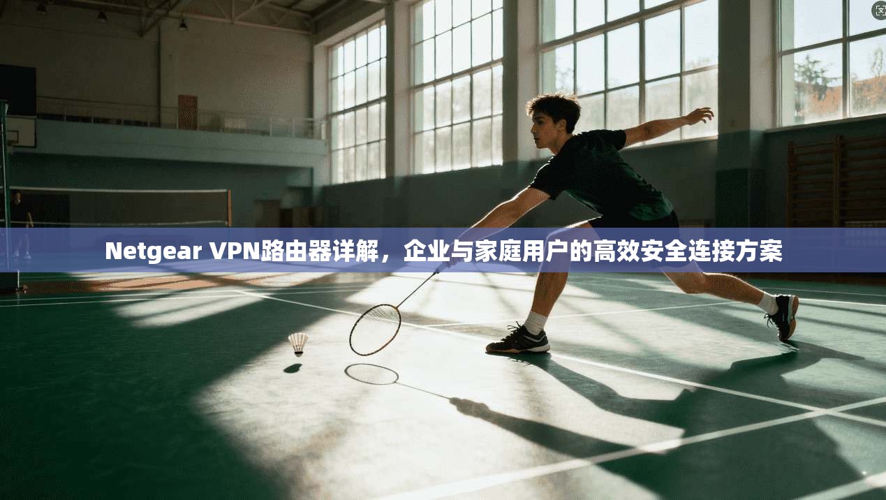 Netgear VPN路由器详解，企业与家庭用户的高效安全连接方案  第1张