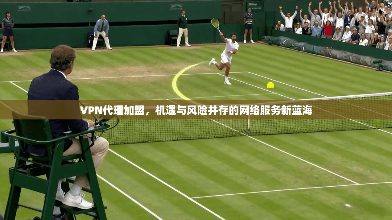 VPN代理加盟，机遇与风险并存的网络服务新蓝海  第1张