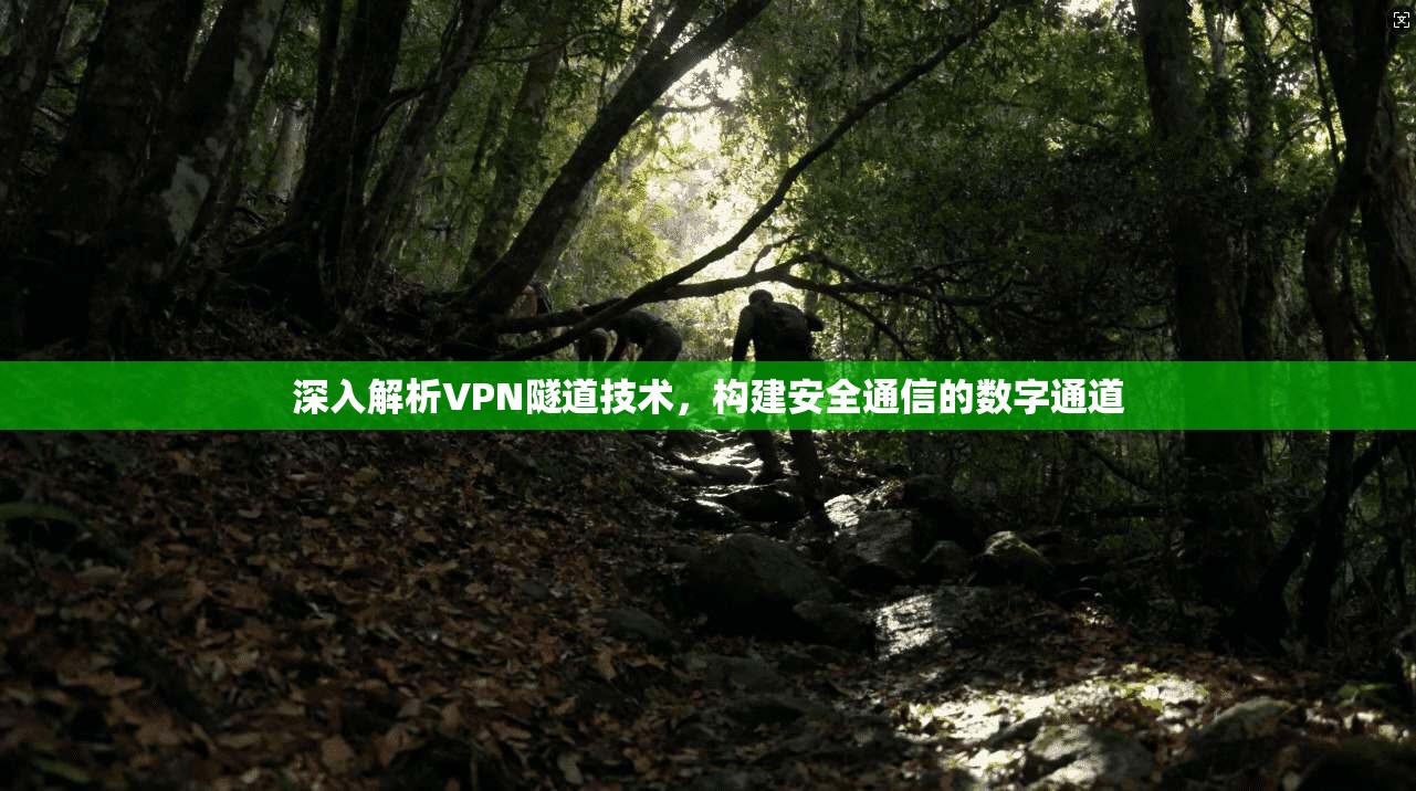 深入解析VPN隧道技术，构建安全通信的数字通道  第1张