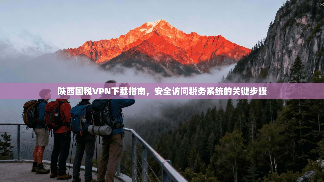 陕西国税VPN下载指南，安全访问税务系统的关键步骤  第1张