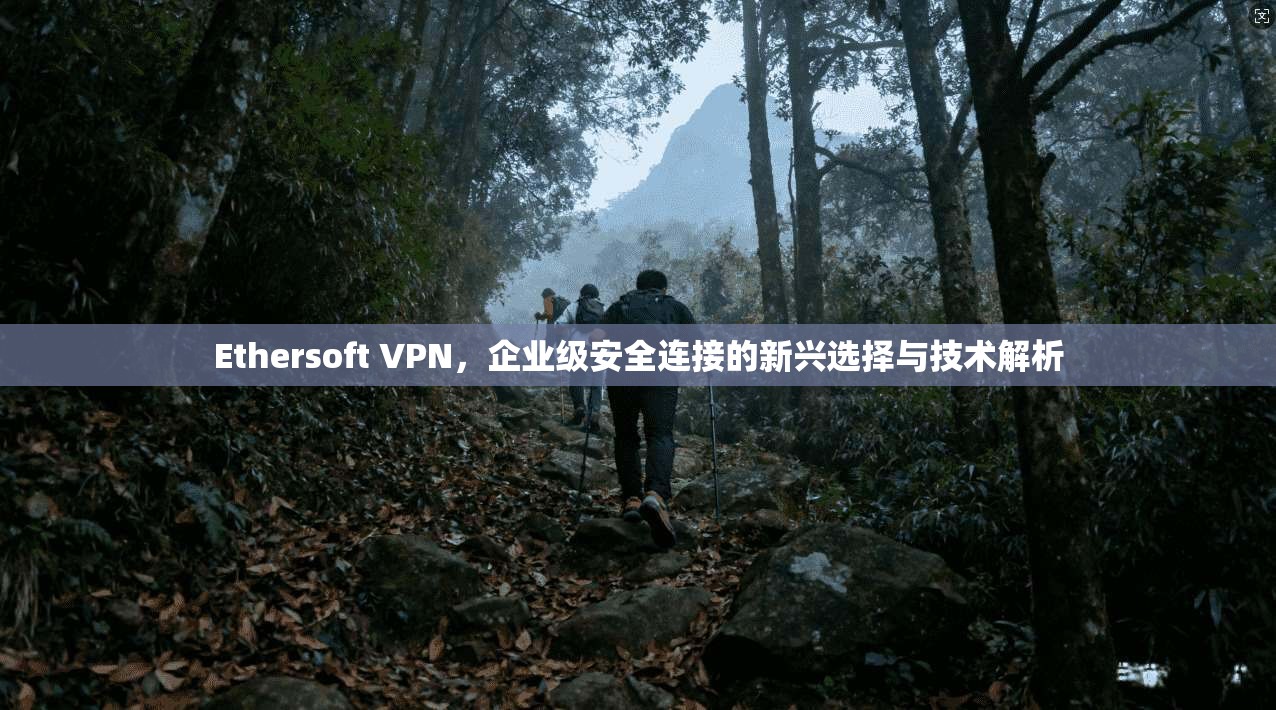 Ethersoft VPN，企业级安全连接的新兴选择与技术解析  第1张