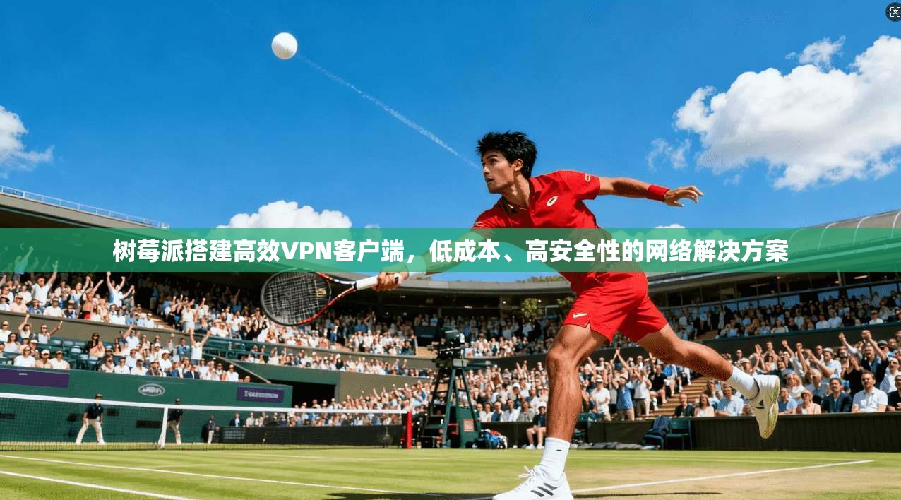 树莓派搭建高效VPN客户端，低成本、高安全性的网络解决方案  第1张