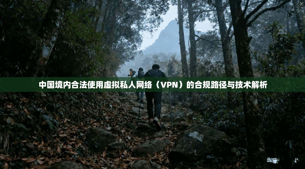 中国境内合法使用虚拟私人网络（VPN）的合规路径与技术解析  第1张