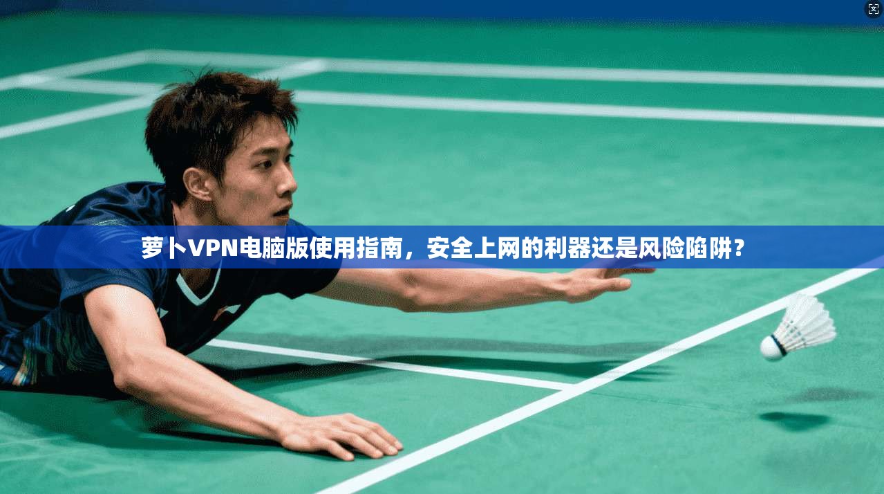 萝卜VPN电脑版使用指南，安全上网的利器还是风险陷阱？  第1张