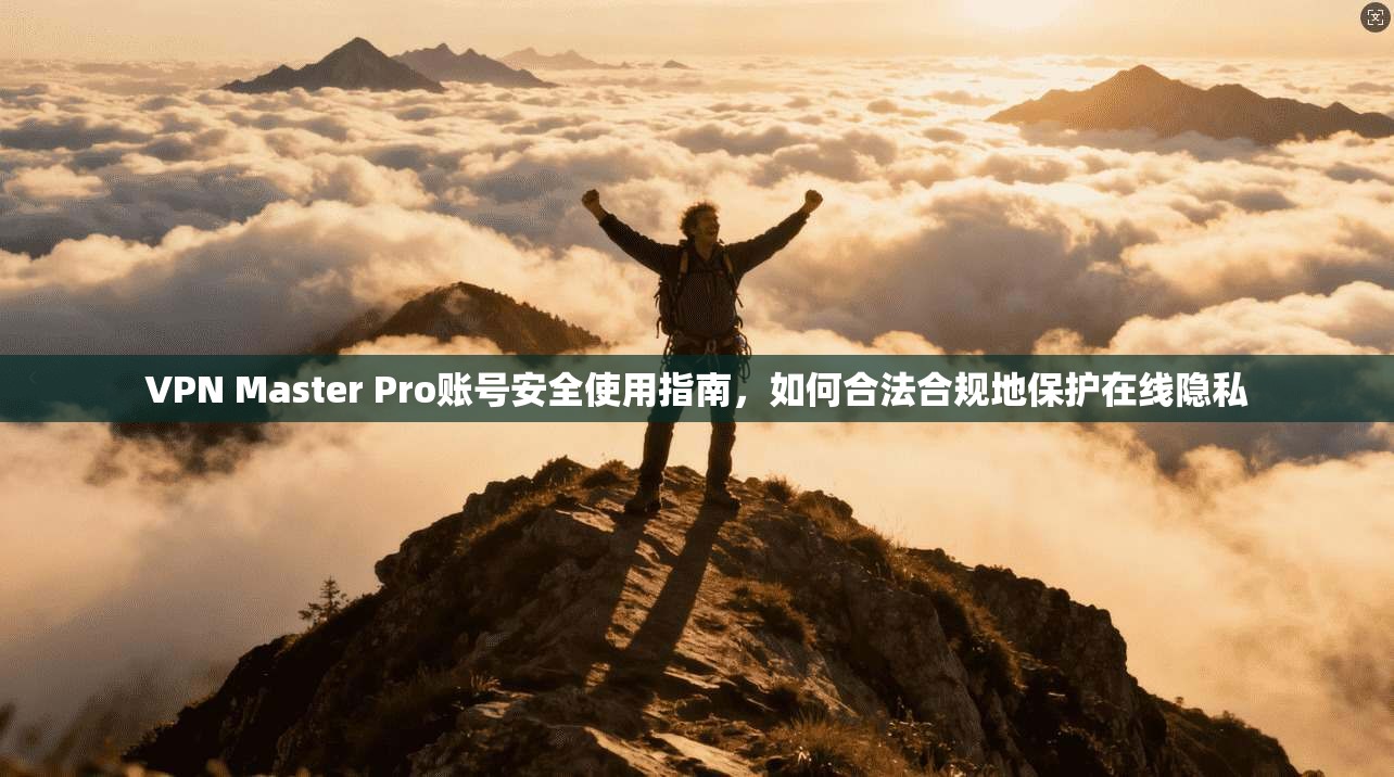 VPN Master Pro账号安全使用指南，如何合法合规地保护在线隐私  第1张