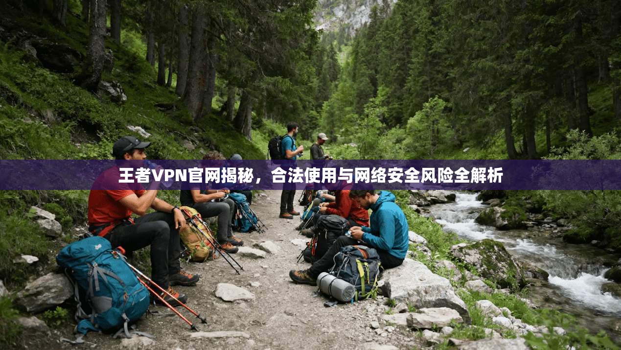 王者VPN官网揭秘，合法使用与网络安全风险全解析  第1张