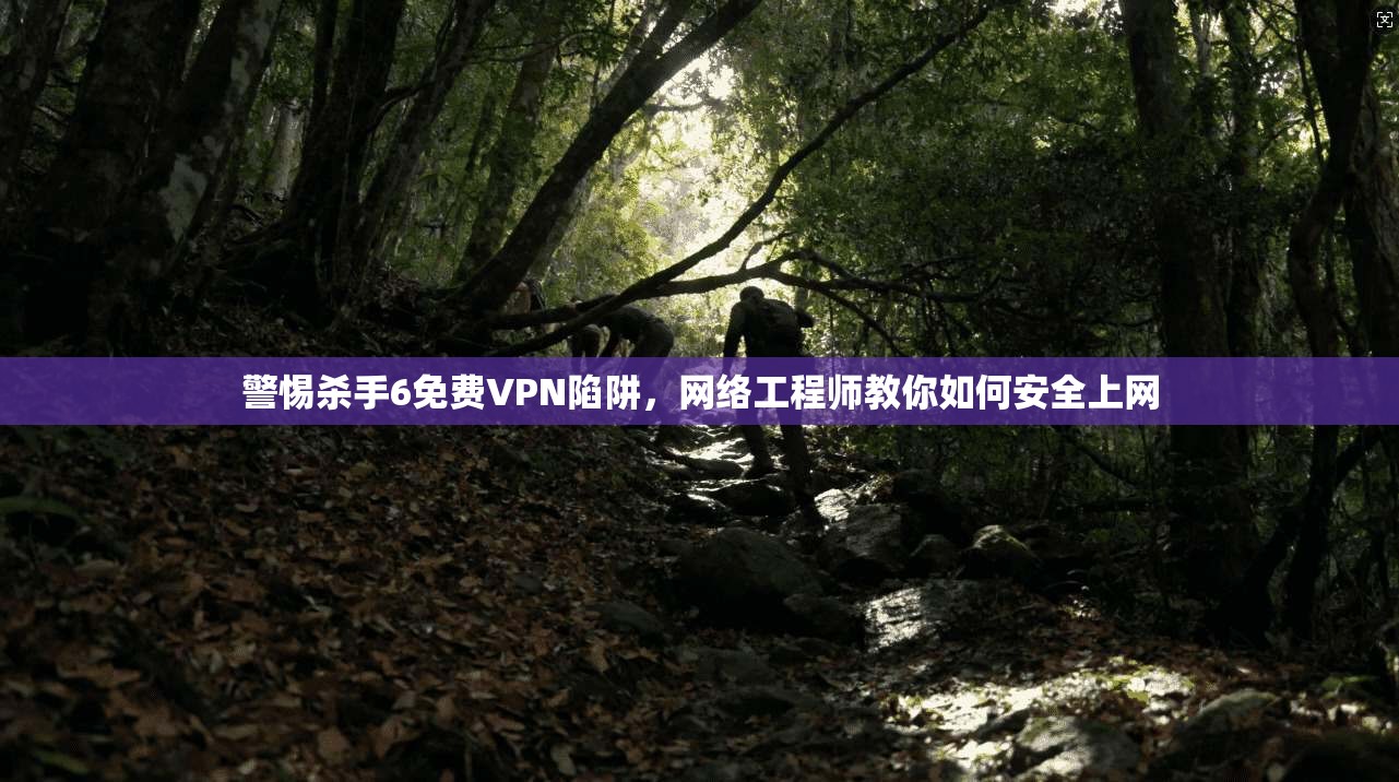 警惕杀手6免费VPN陷阱，网络工程师教你如何安全上网  第1张