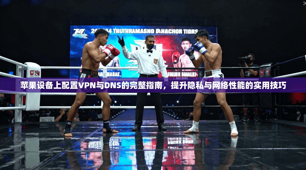 苹果设备上配置VPN与DNS的完整指南，提升隐私与网络性能的实用技巧  第1张