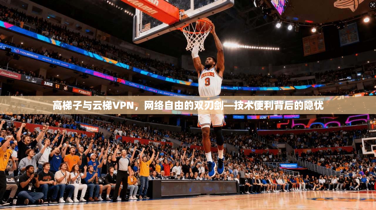 高梯子与云梯VPN，网络自由的双刃剑—技术便利背后的隐忧  第1张