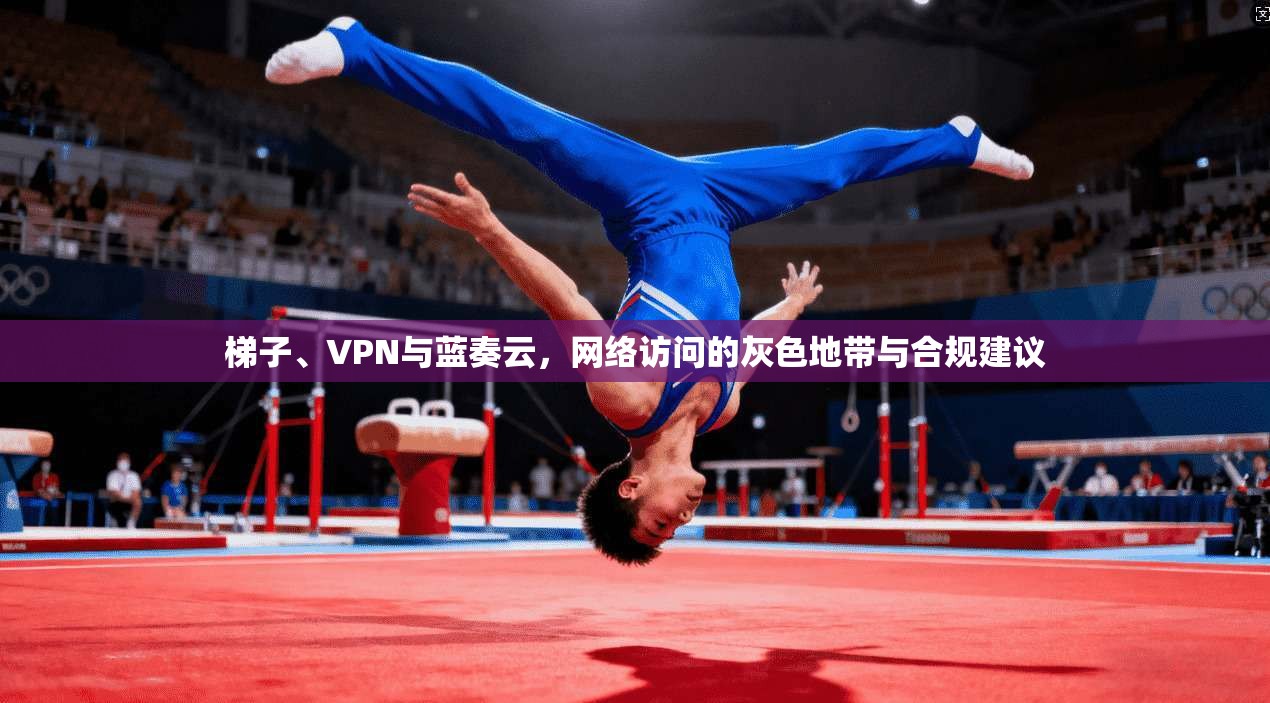 梯子、VPN与蓝奏云，网络访问的灰色地带与合规建议  第1张