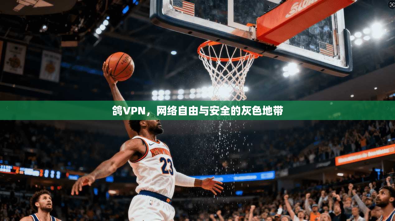 鸽VPN，网络自由与安全的灰色地带  第1张