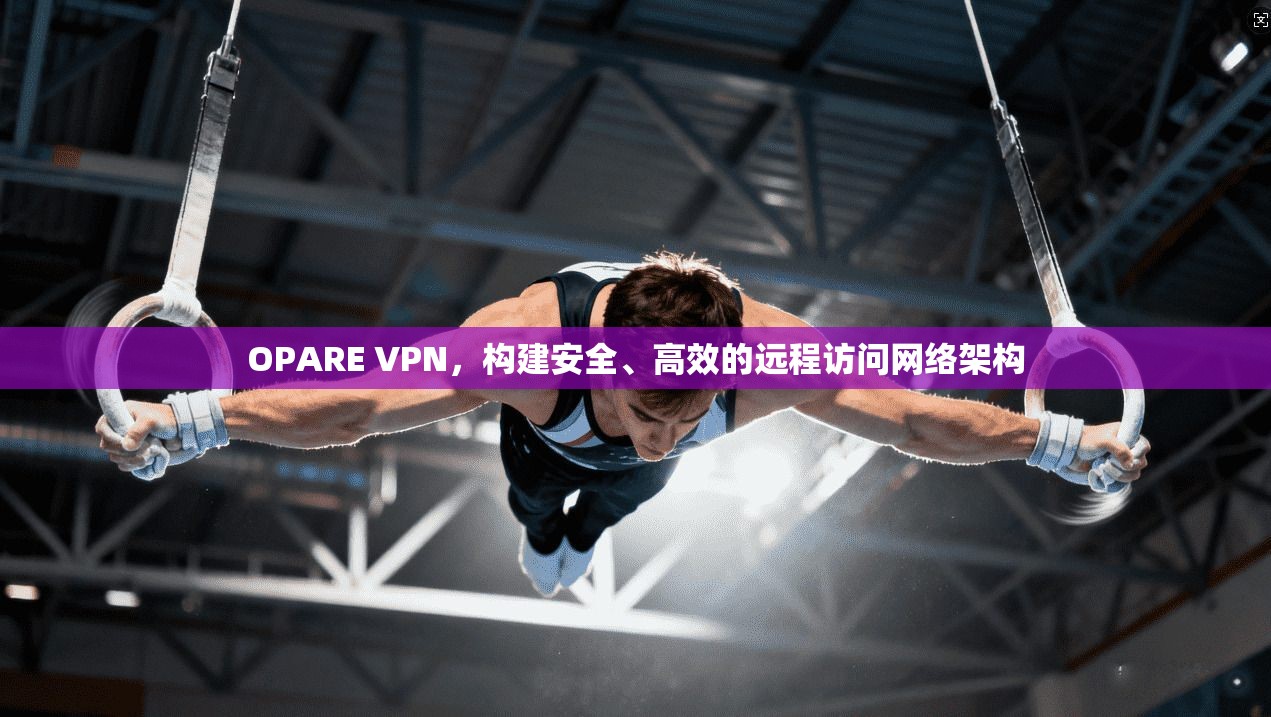 OPARE VPN，构建安全、高效的远程访问网络架构  第1张