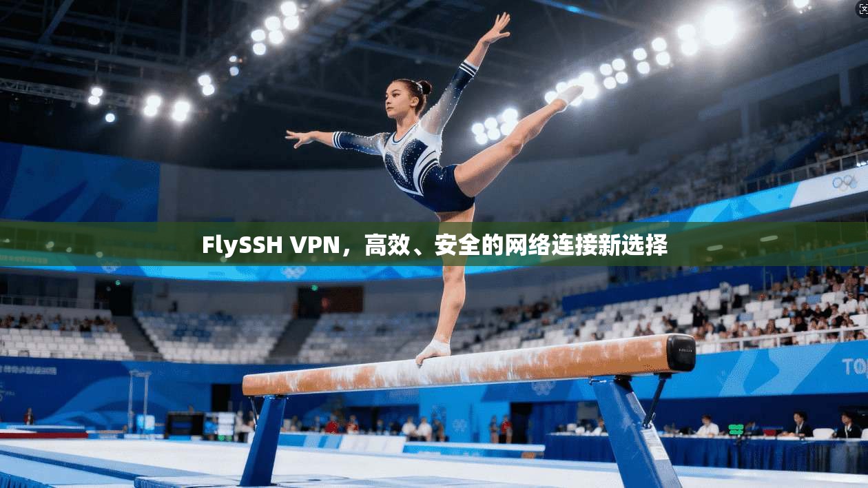 FlySSH VPN，高效、安全的网络连接新选择  第1张