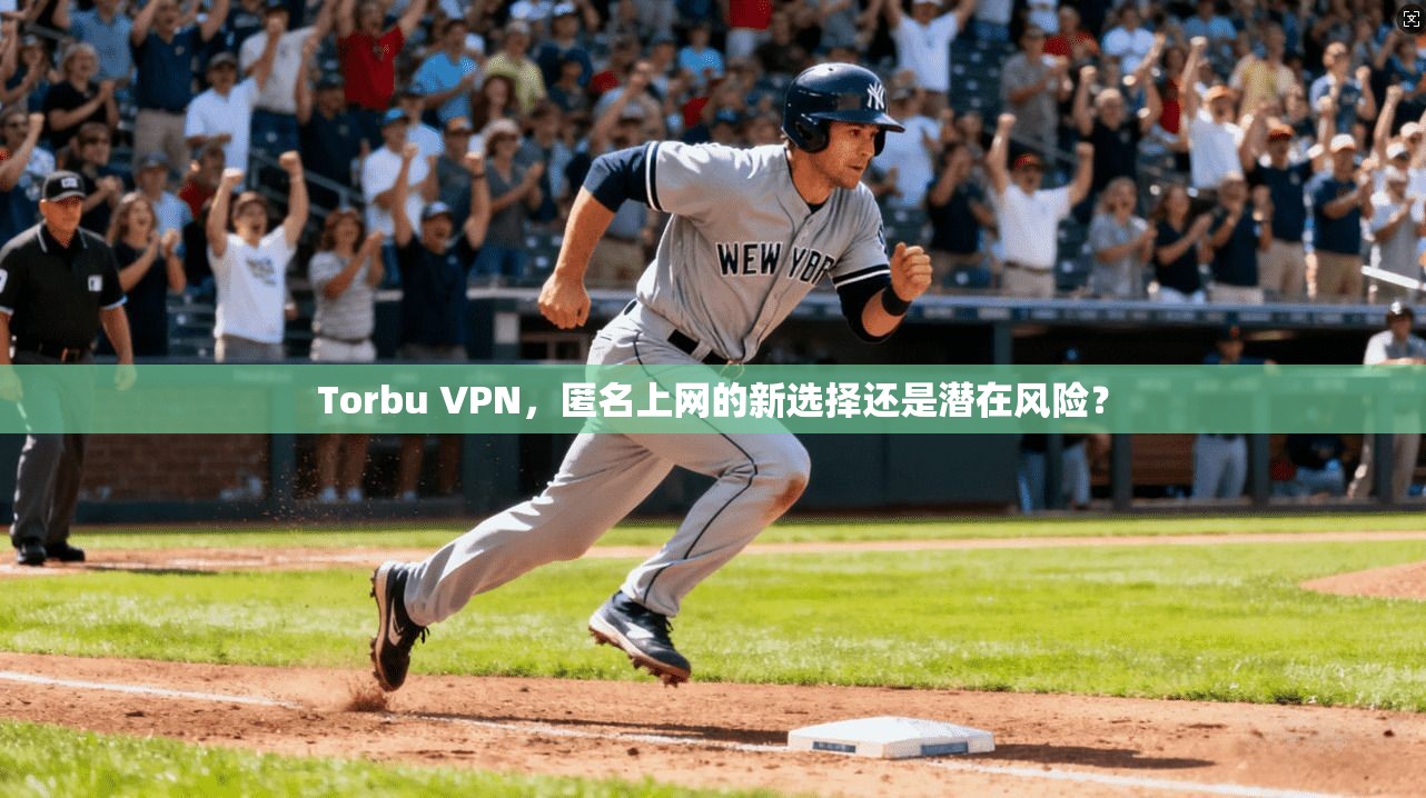 Torbu VPN，匿名上网的新选择还是潜在风险？  第1张