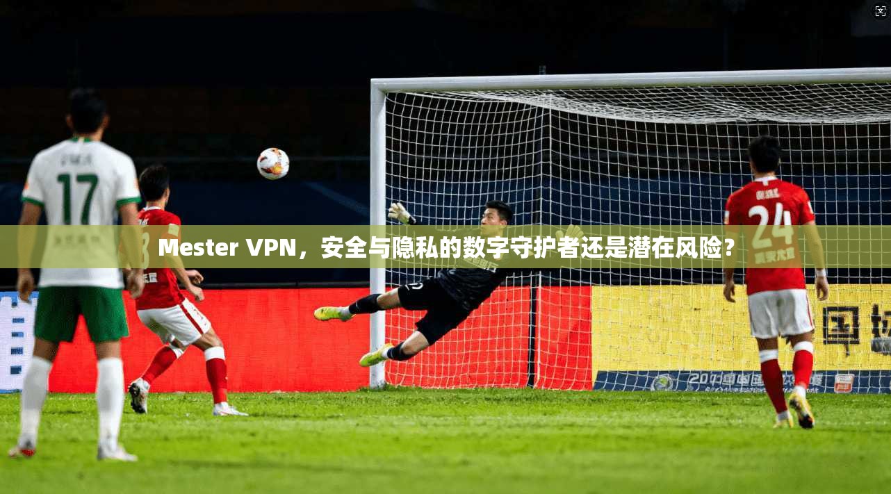 Mester VPN，安全与隐私的数字守护者还是潜在风险？  第1张