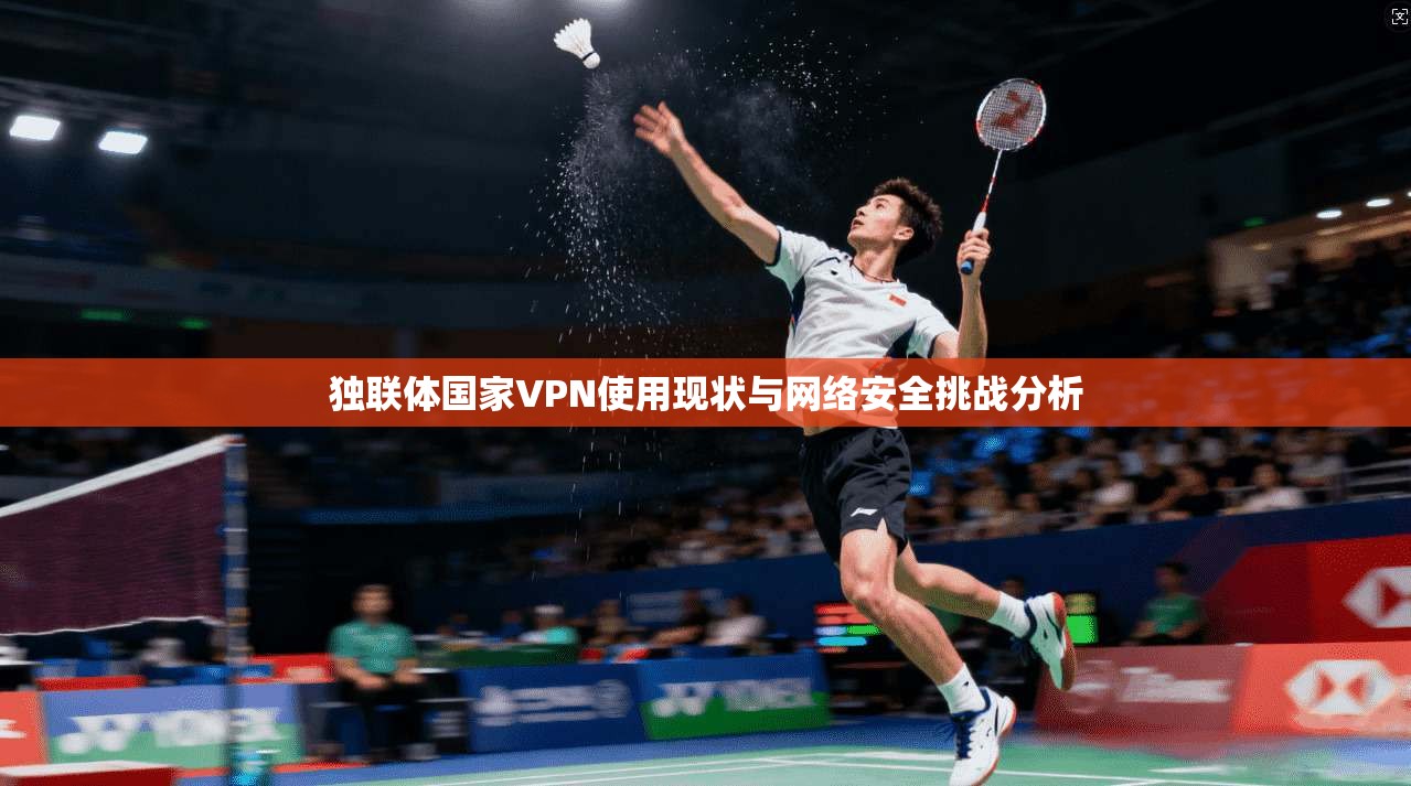 独联体国家VPN使用现状与网络安全挑战分析  第1张