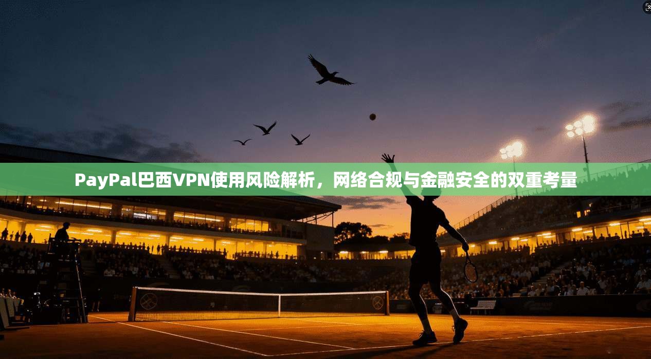 PayPal巴西VPN使用风险解析，网络合规与金融安全的双重考量  第1张