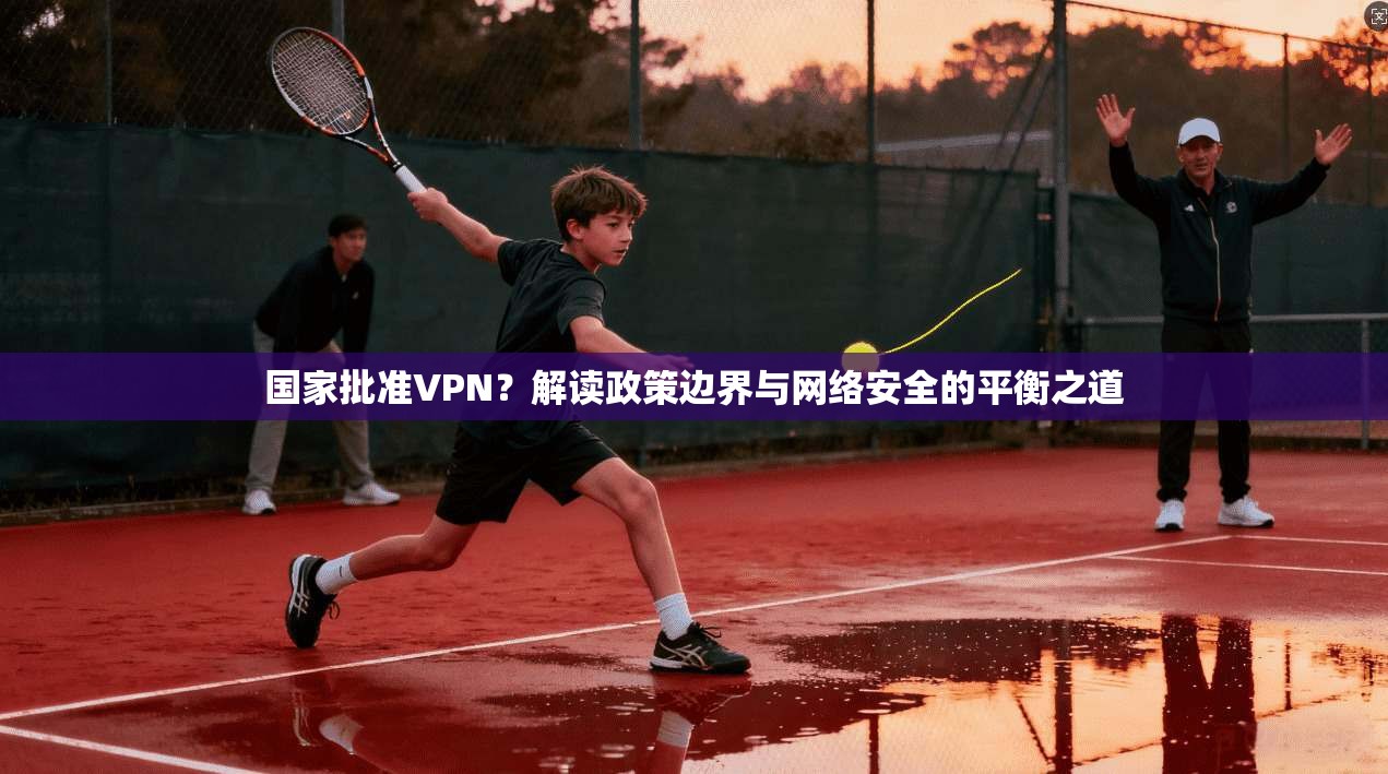 国家批准VPN？解读政策边界与网络安全的平衡之道  第1张