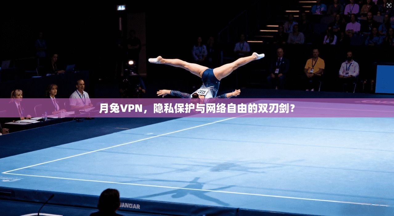 月兔VPN，隐私保护与网络自由的双刃剑？  第1张