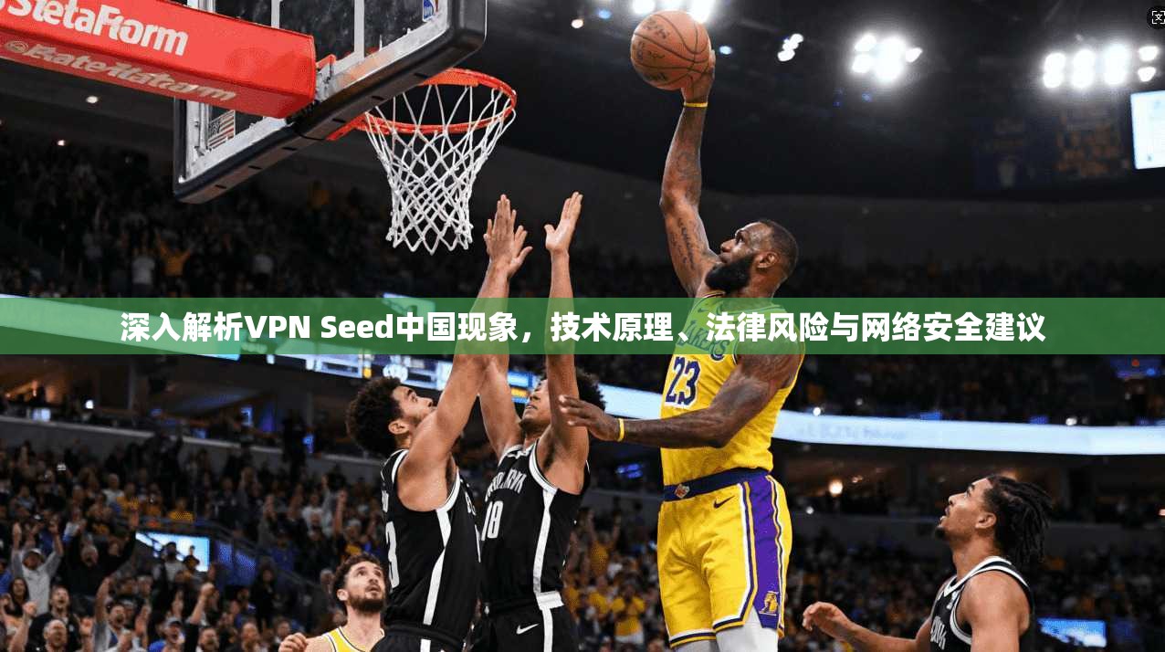 深入解析VPN Seed中国现象，技术原理、法律风险与网络安全建议  第1张