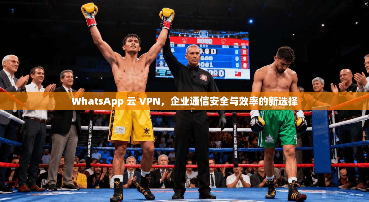 WhatsApp 云 VPN，企业通信安全与效率的新选择  第1张