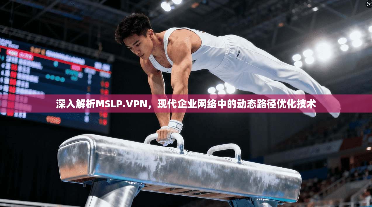 深入解析MSLP.VPN，现代企业网络中的动态路径优化技术  第1张