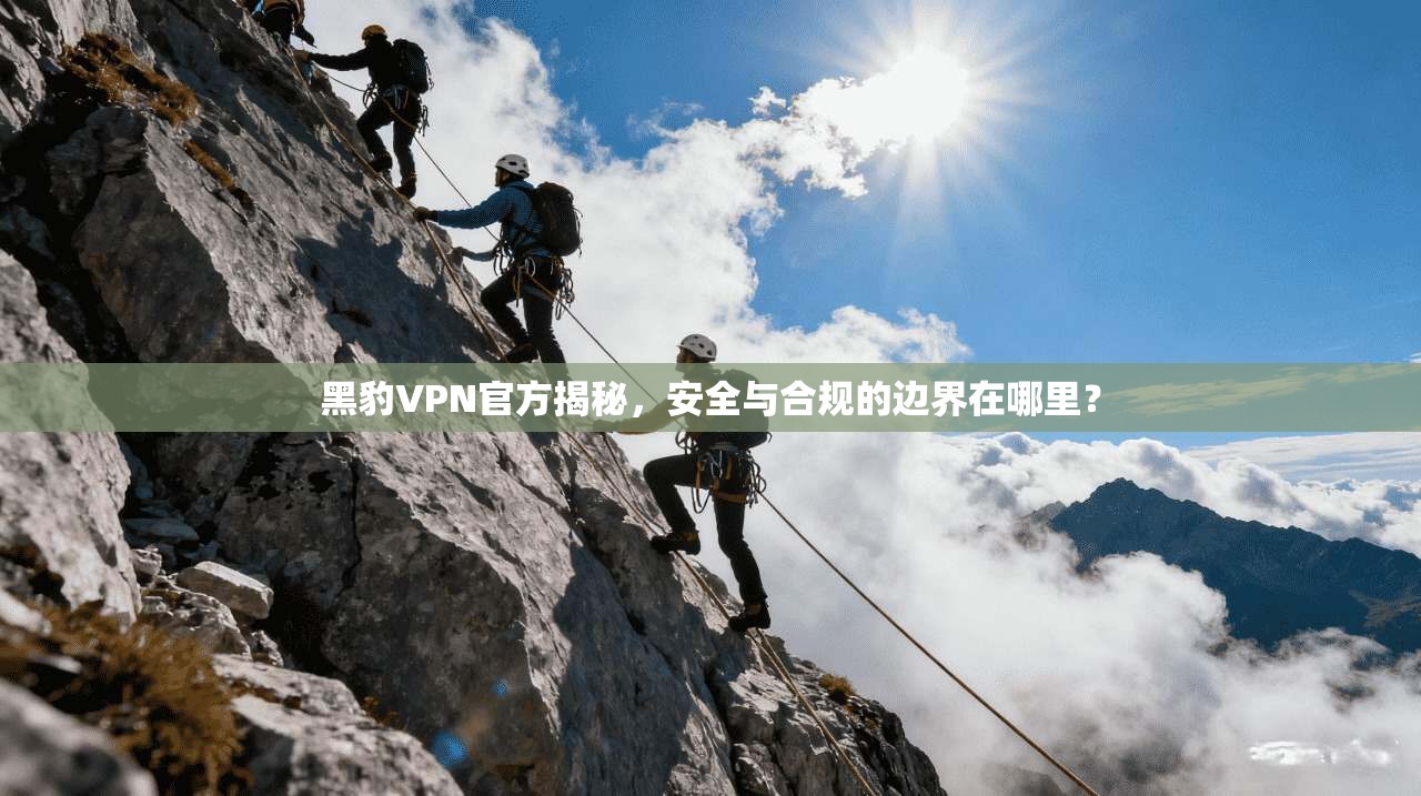 黑豹VPN官方揭秘，安全与合规的边界在哪里？  第1张