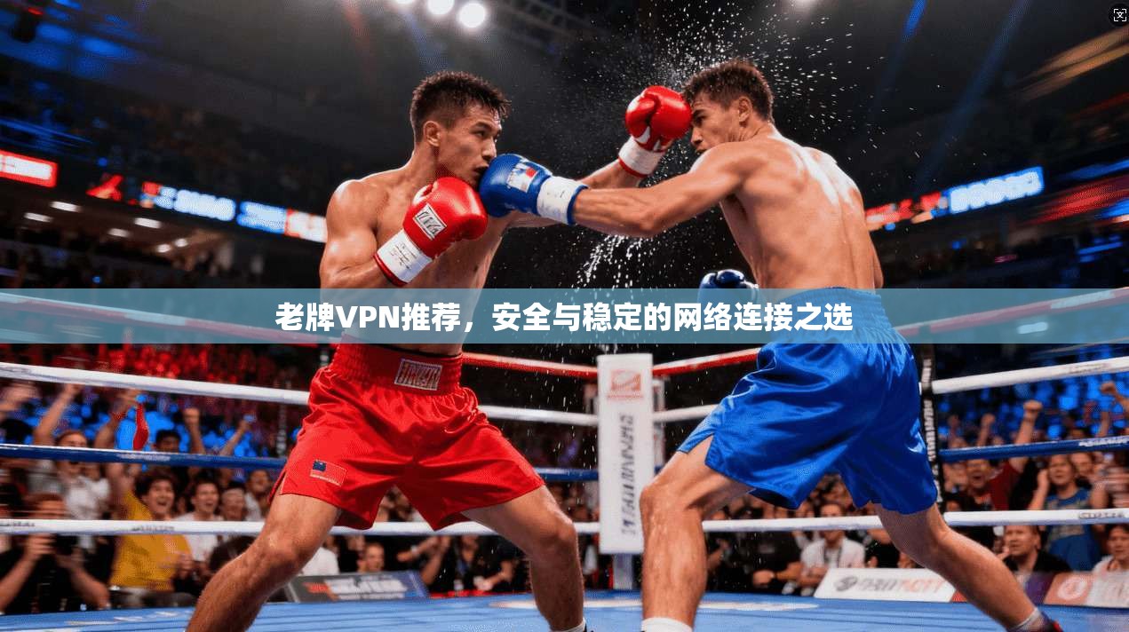 老牌VPN推荐，安全与稳定的网络连接之选  第1张