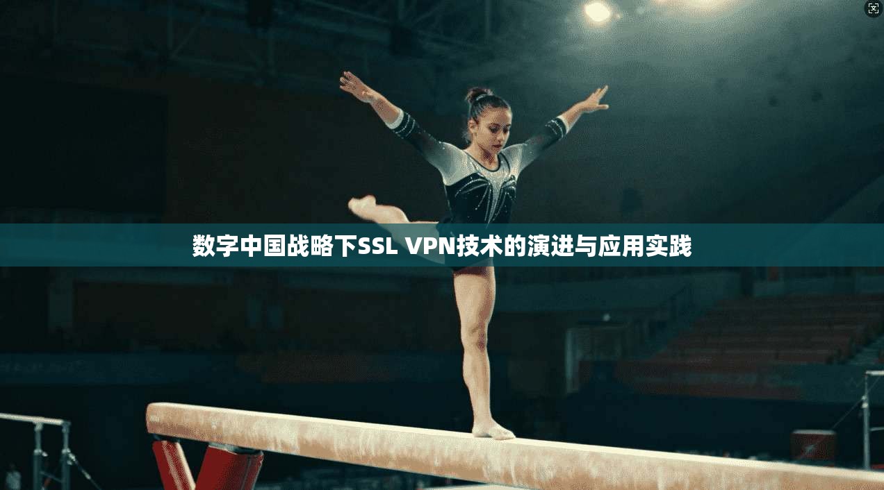 数字中国战略下SSL VPN技术的演进与应用实践  第1张
