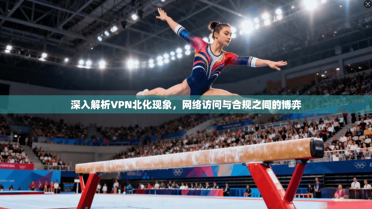 深入解析VPN北化现象，网络访问与合规之间的博弈  第1张