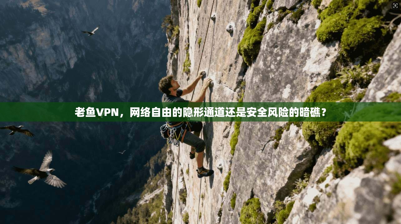 老鱼VPN，网络自由的隐形通道还是安全风险的暗礁？  第1张